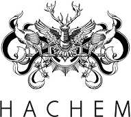 Hachem Logo